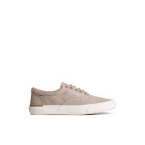 Beige Sperry SeaCycled Striper II CVO Baja Sneaker Sneakers | FSXKU-7105