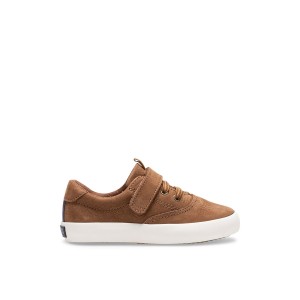 Beige Sperry Spinnaker Junior Washable Sneaker Sneakers | KDQRC-0378