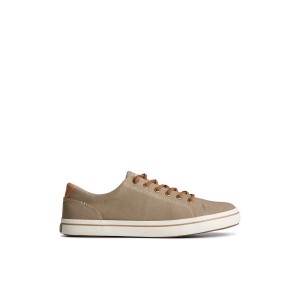 Beige Sperry Striper II Linen LTT Sneaker Sneakers | FZVIQ-6120