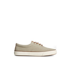 Beige Sperry Striper II Washed Canvas CVO Sneaker Sneakers | NJRKF-2986