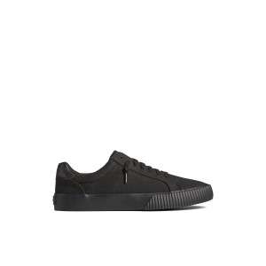 Black Sperry Bermuda Sneaker Sneakers | QLUYR-1843