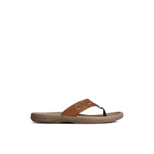 Brown Sperry Baitfish Leather Flip Flop Sandals | SBYHD-4297