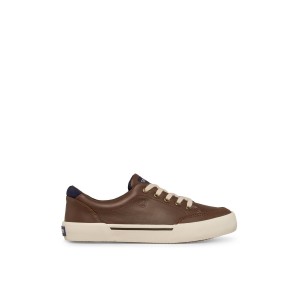 Brown Sperry Harbor Tide Sneaker Sneakers | ITROG-2743