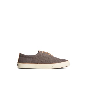 Brown Sperry Striper II Washed Canvas CVO Sneaker Sneakers | ETIYM-4029