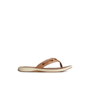 Dark Beige Sperry Seafish Leather Flip Flop Sandals | PBCDK-0459