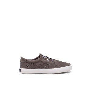 Grey Sperry Spinnaker Washable Sneaker Sneakers | EDTMN-5310