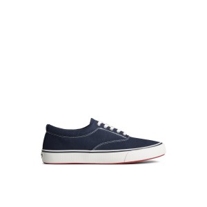 Navy Sperry Striper II Canvas CVO Sneaker Sneakers | XLQDI-4251