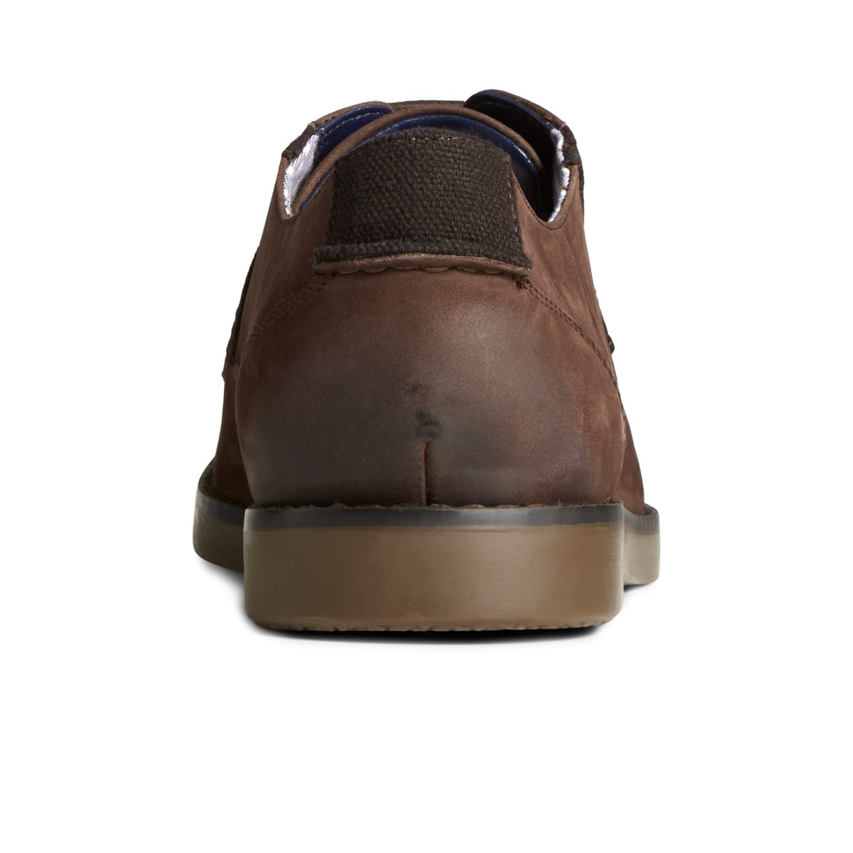 Brown Sperry Newman Oxford Dress Shoe Oxford Shoes | HIPEB-4360