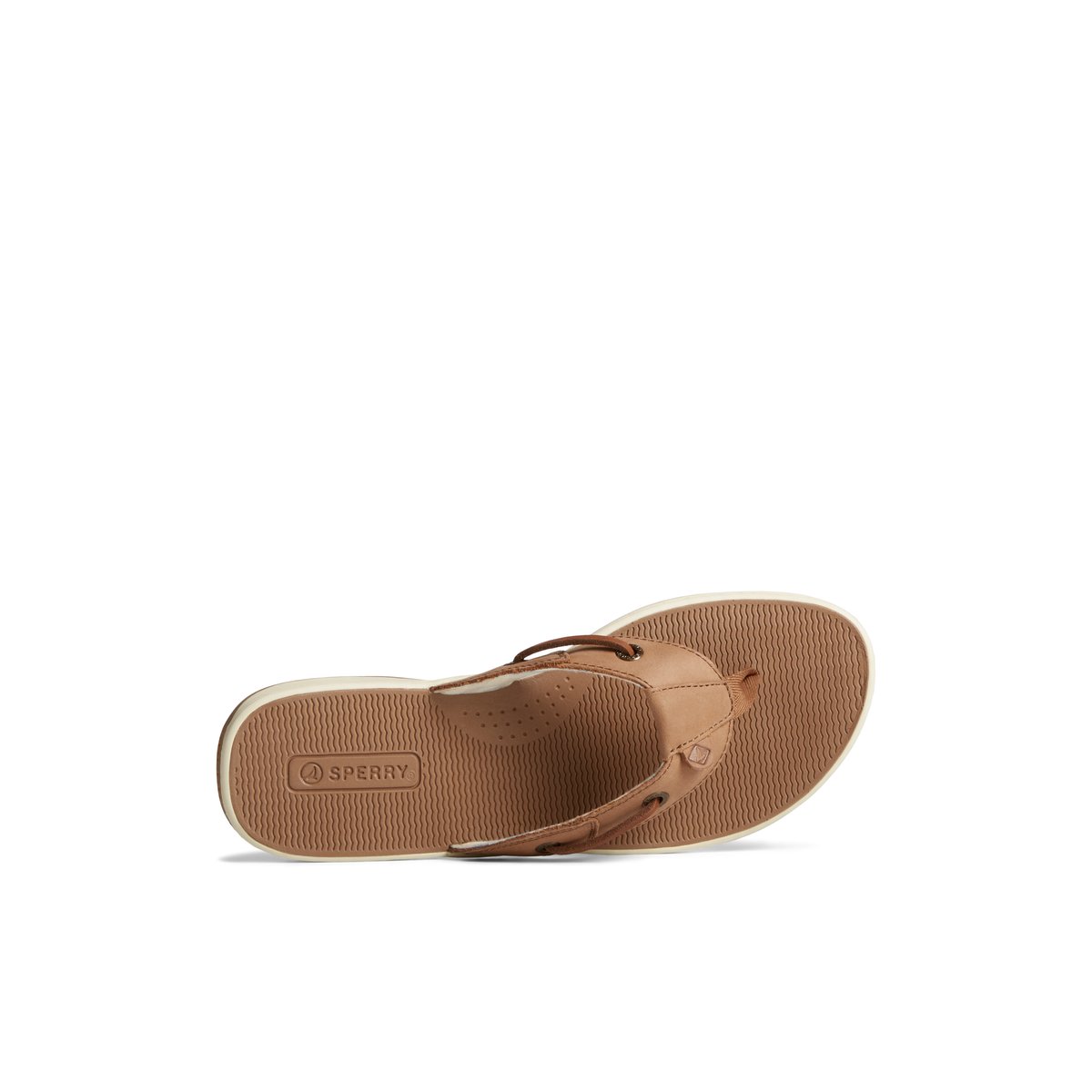 Dark Beige Sperry Seafish Leather Flip Flop Sandals | PBCDK-0459