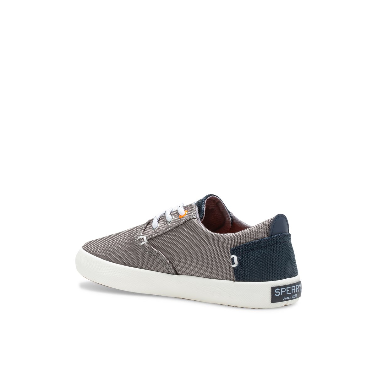 Dark Grey Sperry Bodie Washable Sneaker Sneakers | COFXZ-8703